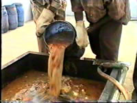 Kitchen Waste
